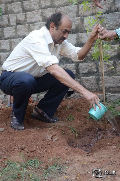 -Venkatesh-At-Haritha-Haaram-Event